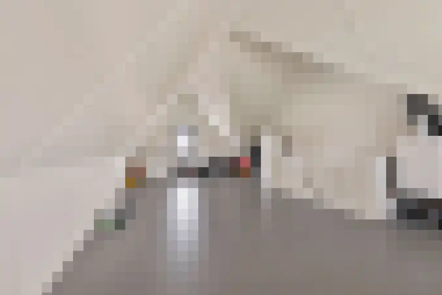 Keizersallee 22 Huissen thumbnail 27