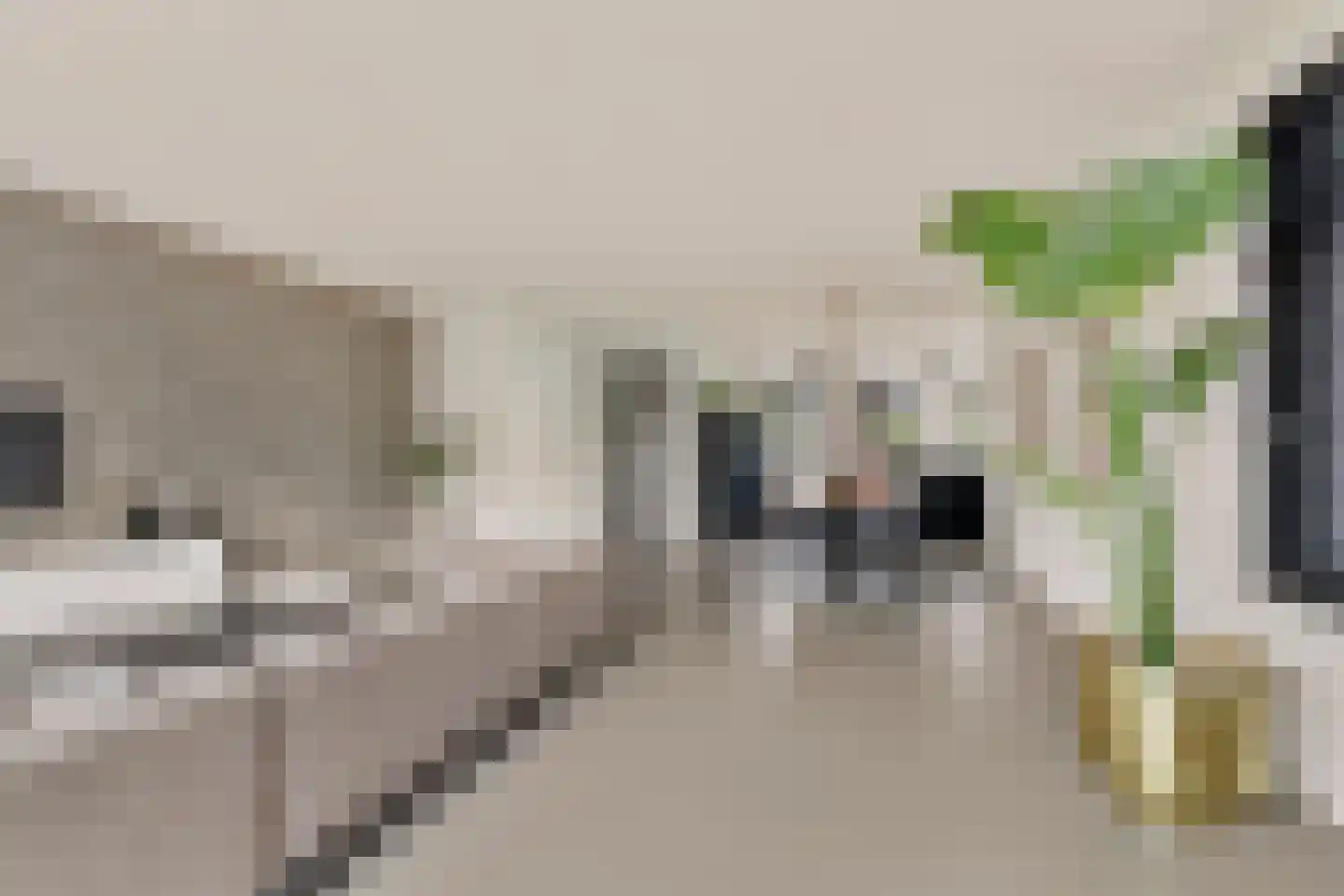 Keizersallee 22 Huissen thumbnail 8