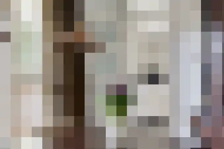 Keizersbosch 15 Gemert thumbnail 13