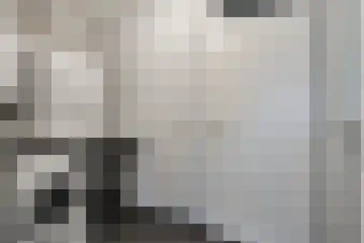 Keizersbosch 15 Gemert thumbnail 16