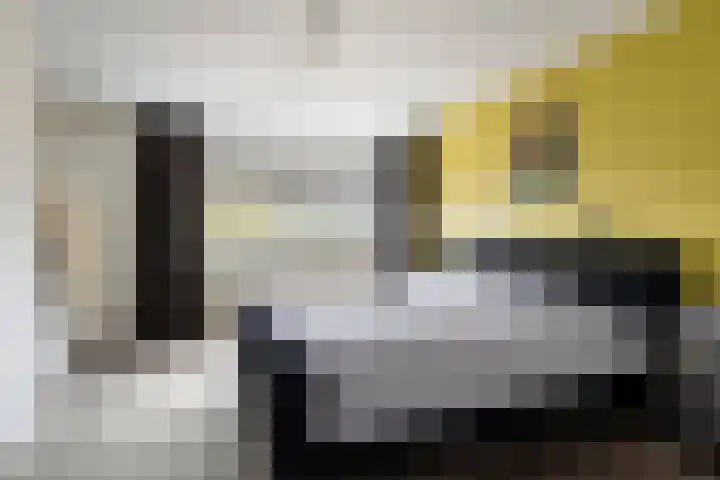 Keizersbosch 15 Gemert thumbnail 20