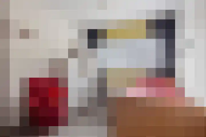 Keizersbosch 15 Gemert thumbnail 22