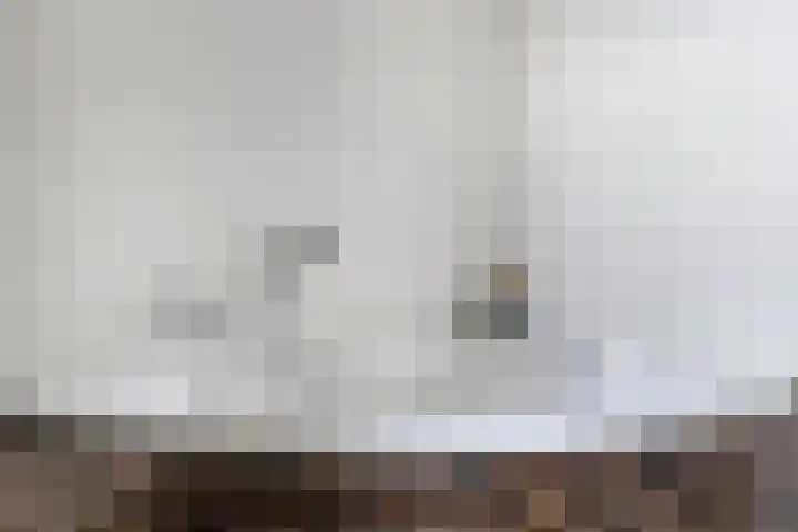 Keizersbosch 15 Gemert thumbnail 25