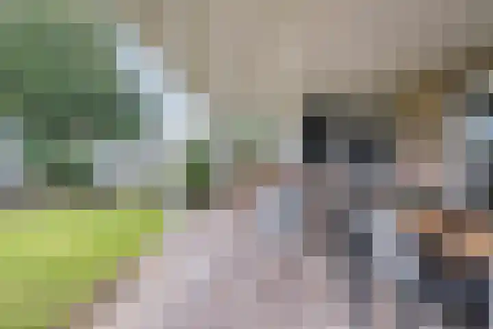 Keizersbosch 15 Gemert thumbnail 33