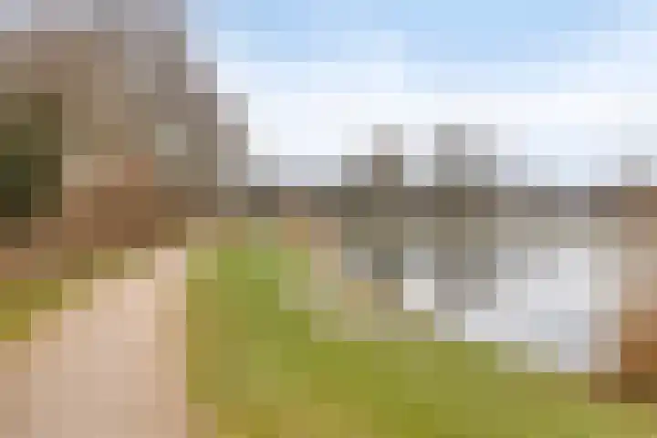 Keizersbosch 15 Gemert thumbnail 41