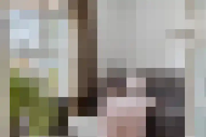 Keizersbosch 15 Gemert thumbnail 7