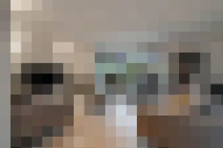 Keizerschild 7 Dronten thumbnail 12
