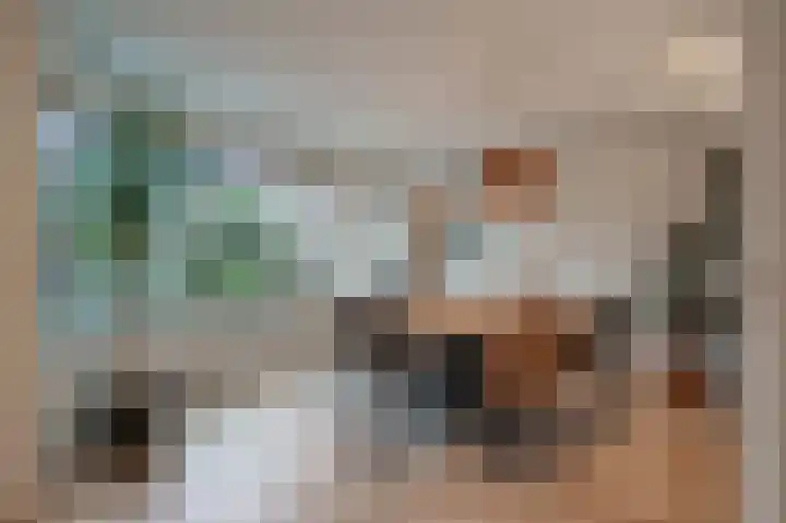 Keizerschild 7 Dronten thumbnail 17