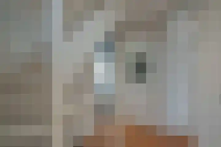 Keizerschild 7 Dronten thumbnail 25