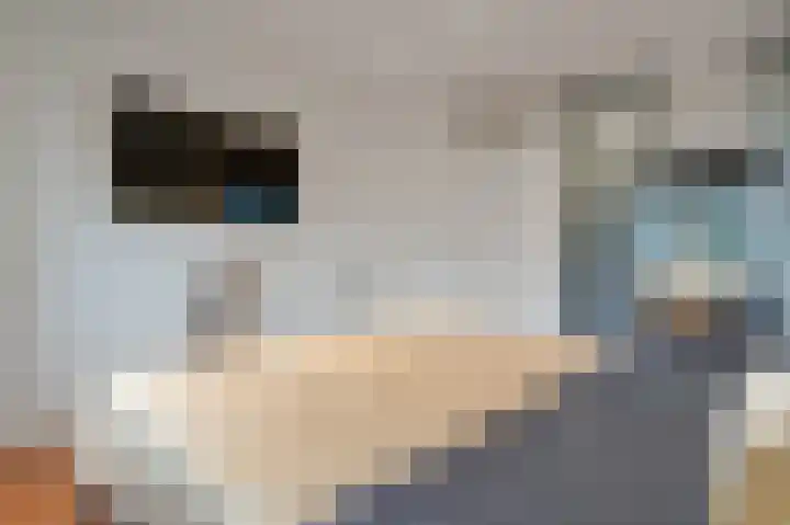 Keizerschild 7 Dronten thumbnail 28
