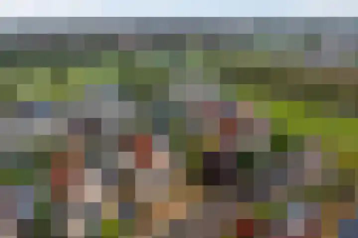Keizerschild 7 Dronten thumbnail 4