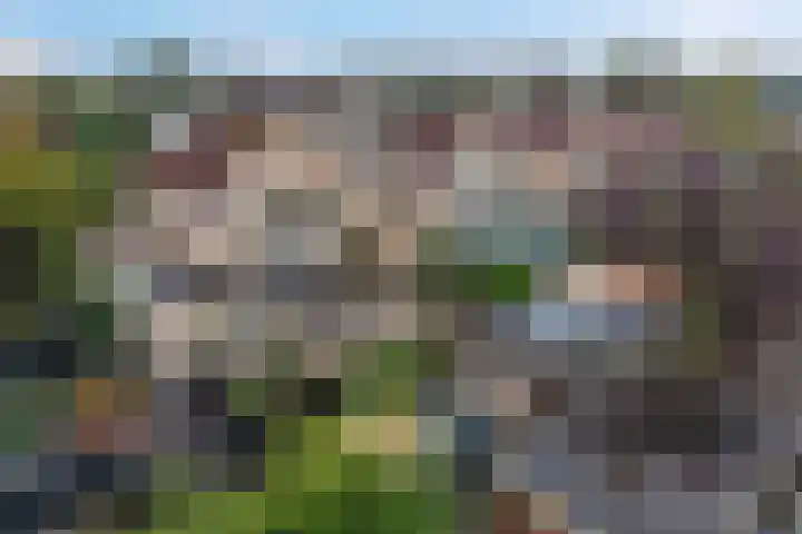 Keizerschild 7 Dronten thumbnail 42