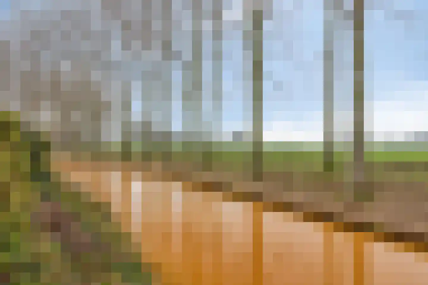 Keizersdam 109 Oosterhout thumbnail 36
