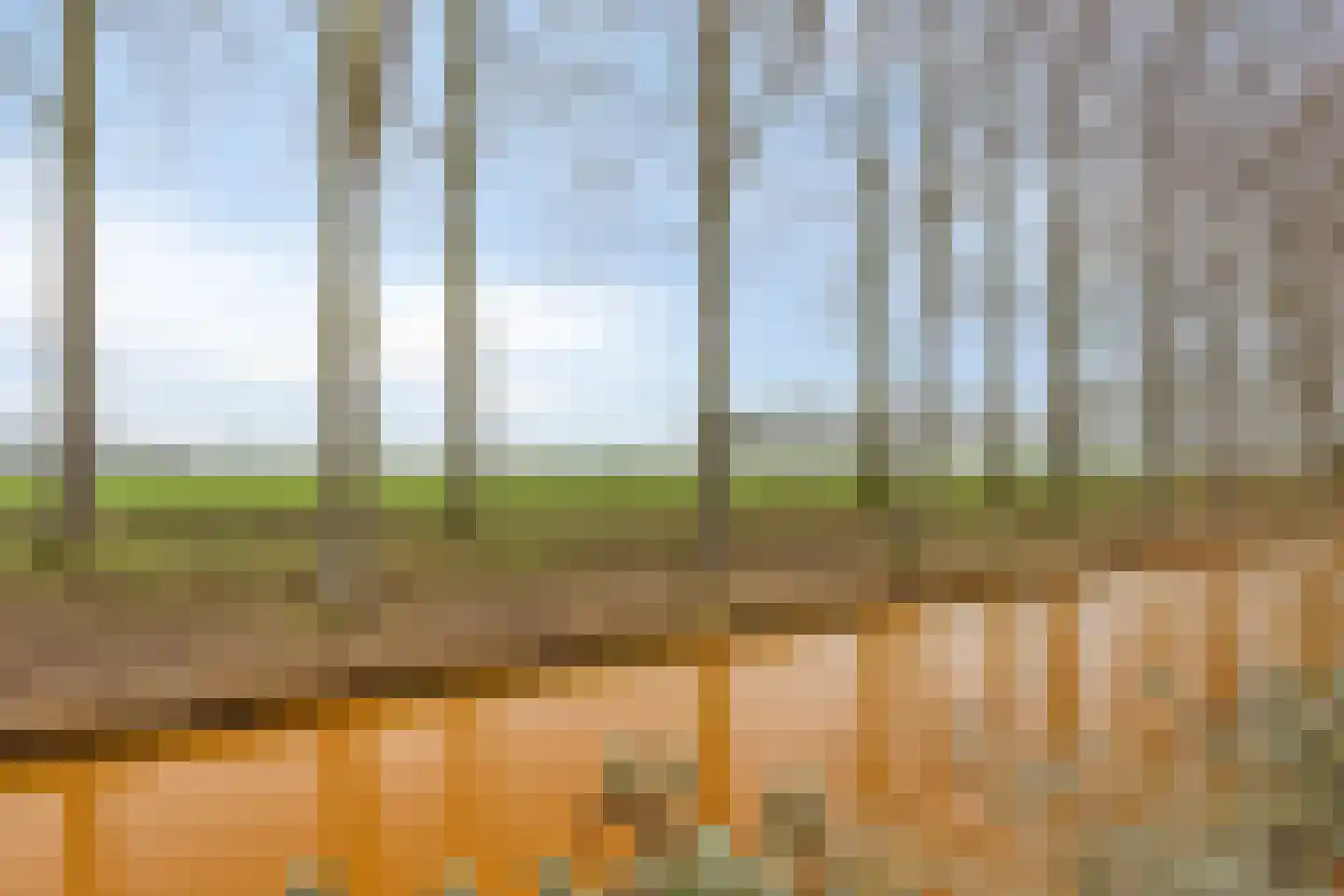 Keizersdam 109 Oosterhout thumbnail 37