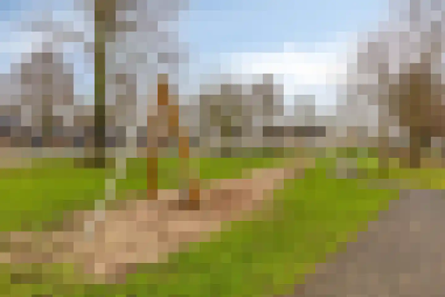 Keizersdam 109 Oosterhout thumbnail 38