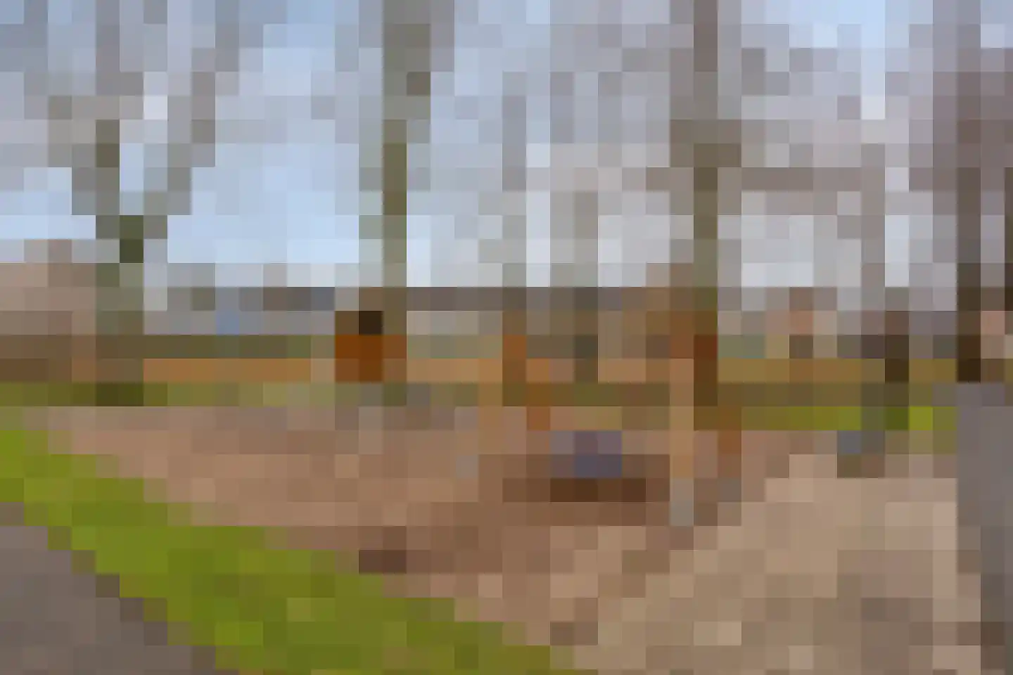 Keizersdam 109 Oosterhout thumbnail 39