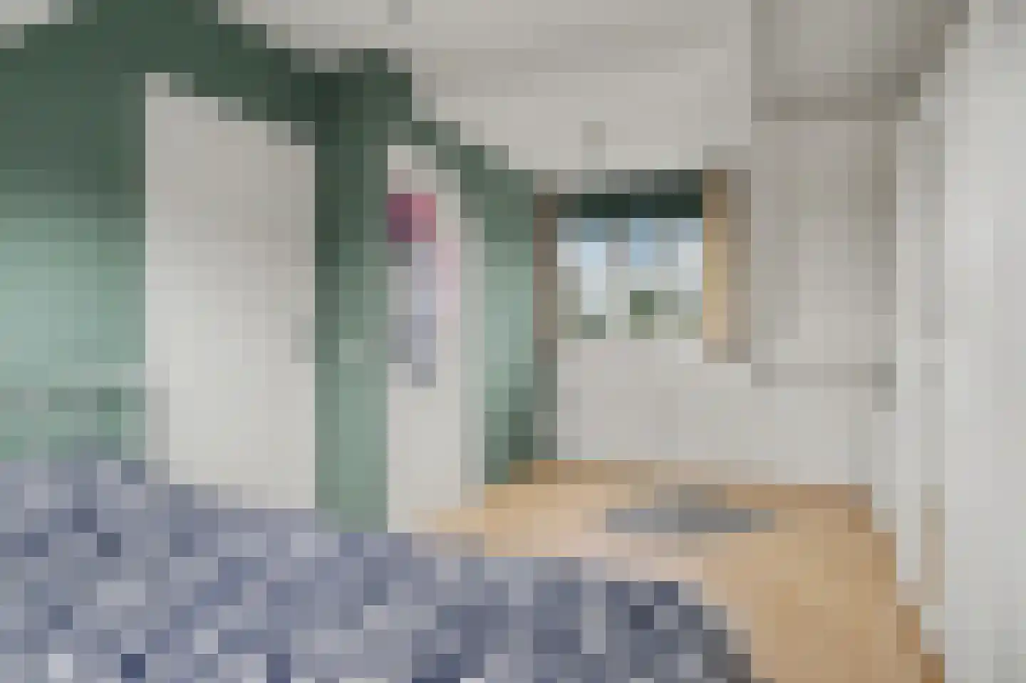 Keizersdam 145 Oosterhout thumbnail 26