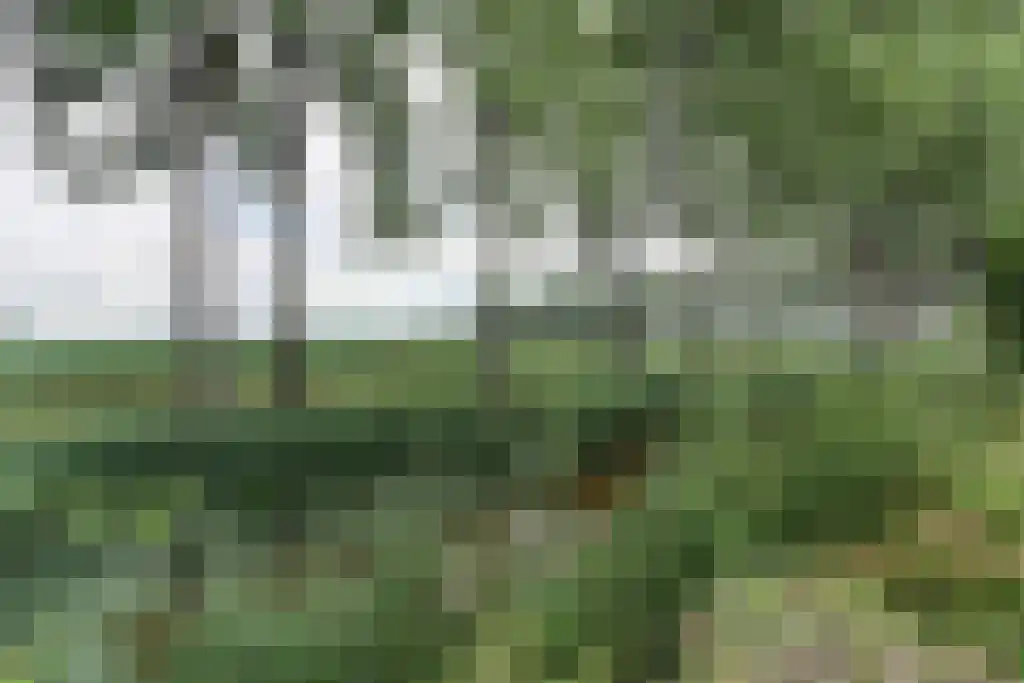 Keizersdam 85 Oosterhout thumbnail 28