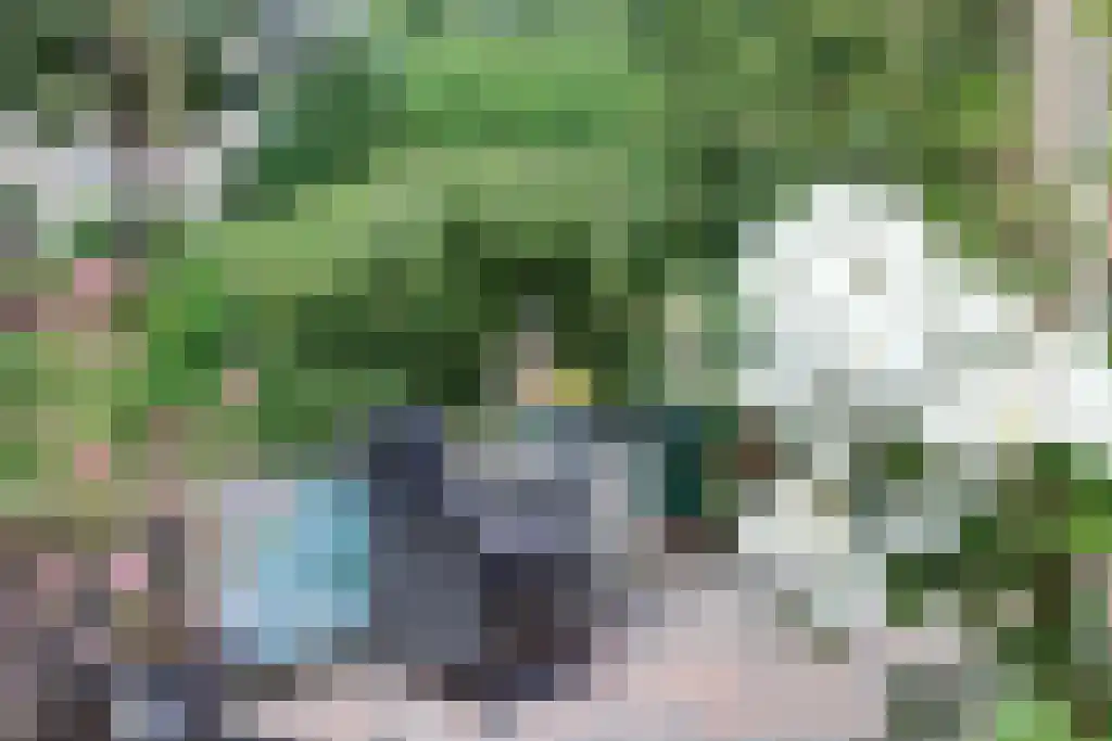 Keizersdam 85 Oosterhout thumbnail 32