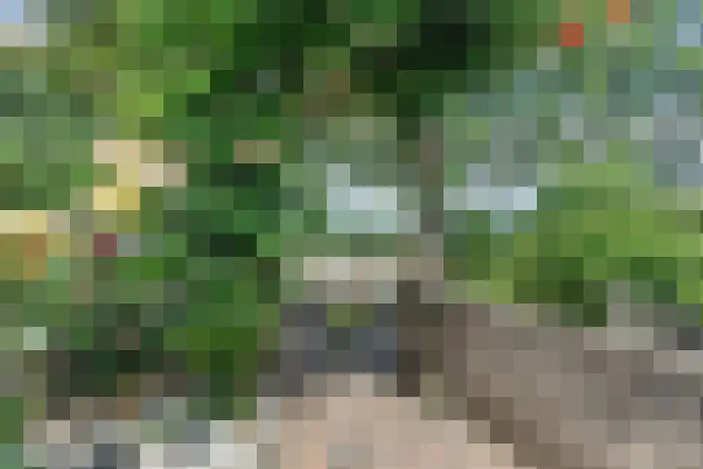 Keizersdam 85 Oosterhout thumbnail 33
