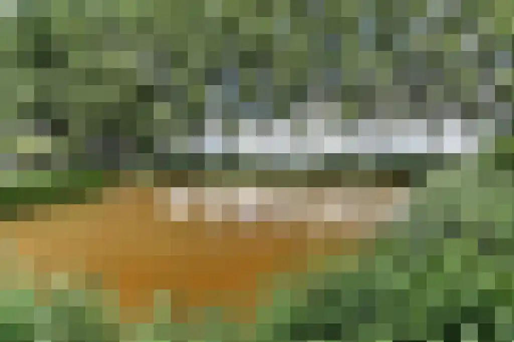 Keizersdam 85 Oosterhout thumbnail 35