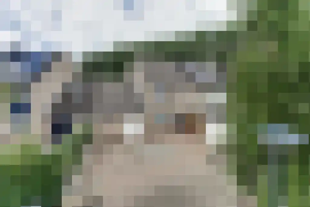 Keizersdam 85 Oosterhout thumbnail 36