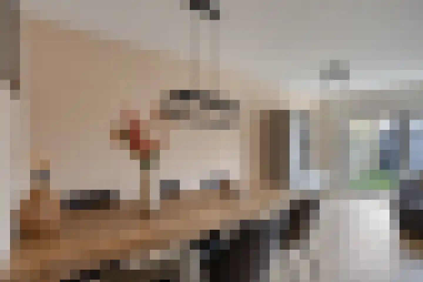 Keizersdam 9 Oosterhout thumbnail 11