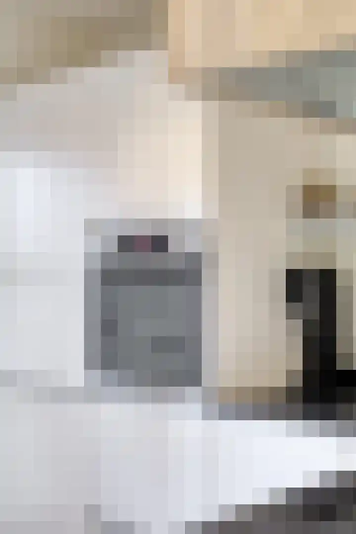 Keizersdam 9 Oosterhout thumbnail 17