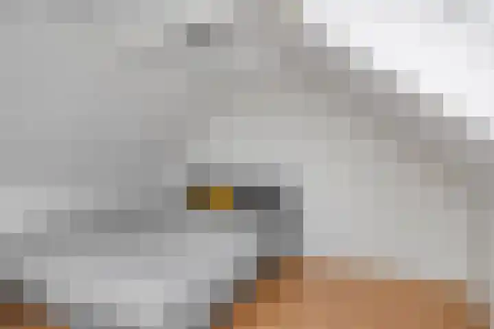 Keizersdam 9 Oosterhout thumbnail 29