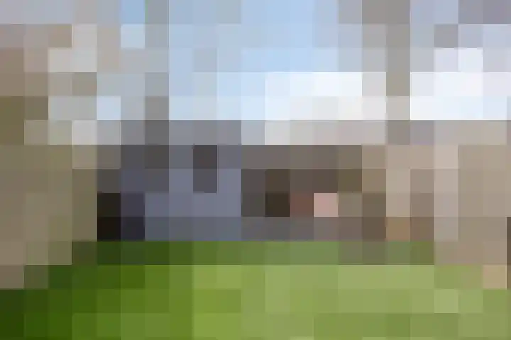 Keizersdam 9 Oosterhout thumbnail 33