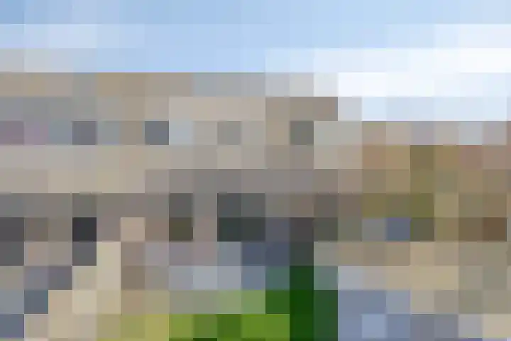Keizersdam 9 Oosterhout thumbnail 34