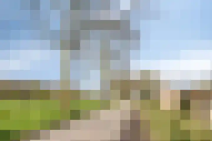Keizersdam 9 Oosterhout thumbnail 36