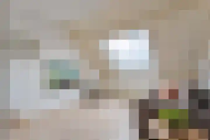 Keizersdijk 47 Rijssen thumbnail 37