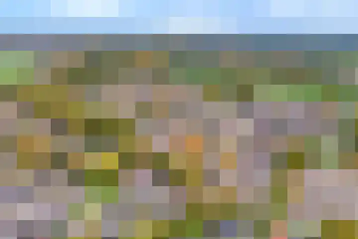 Keizersdijk 47 Rijssen thumbnail 4