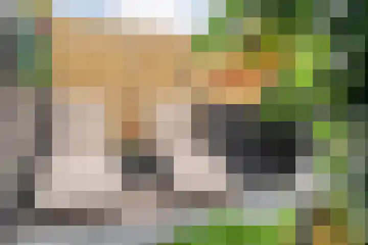 Keizersdijk 47 Rijssen thumbnail 47