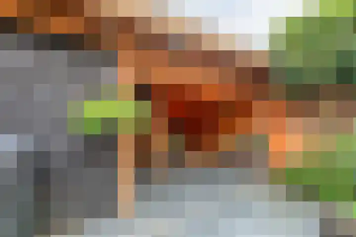 Keizersdijk 47 Rijssen thumbnail 48