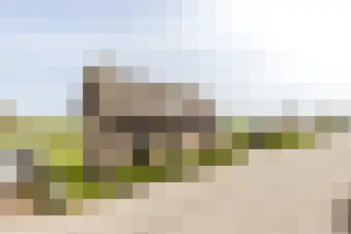 Keizersdijk 72 Strijen thumbnail 30