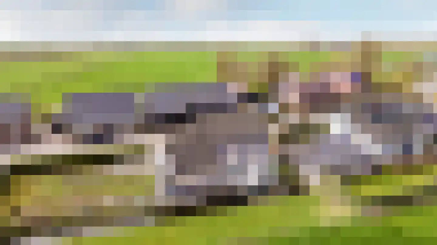 Keizersdijk 72 Strijen thumbnail 36