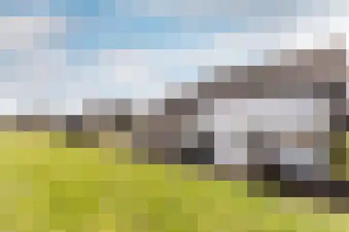 Keizersdijk 72 Strijen thumbnail 4