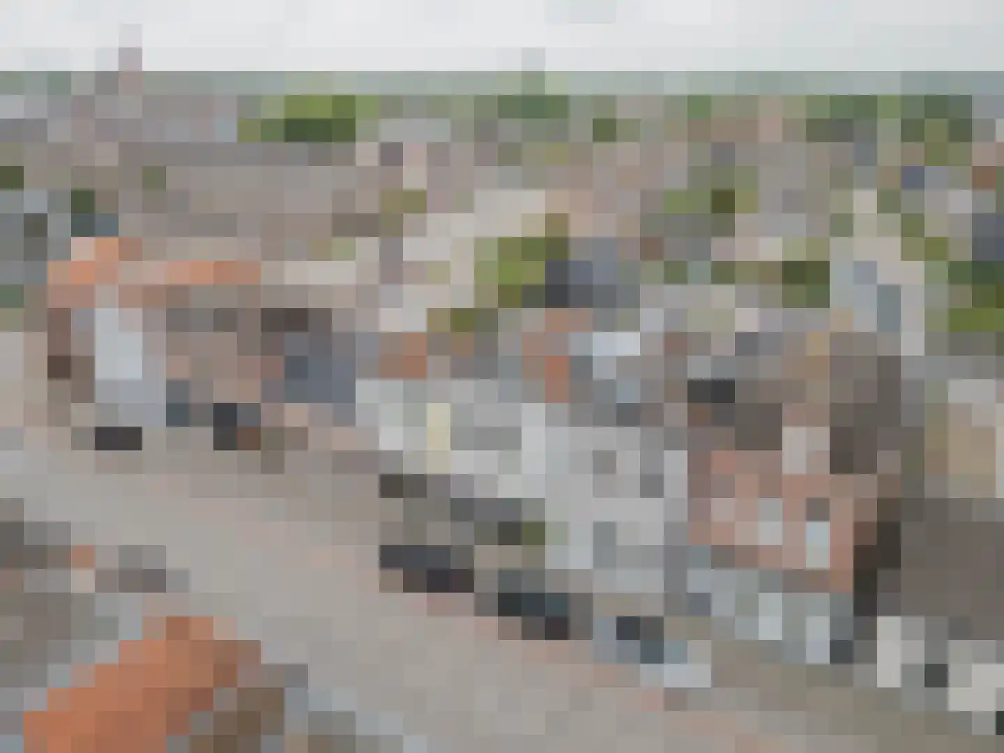 Keizersdijk 73 Raamsdonksveer thumbnail 6