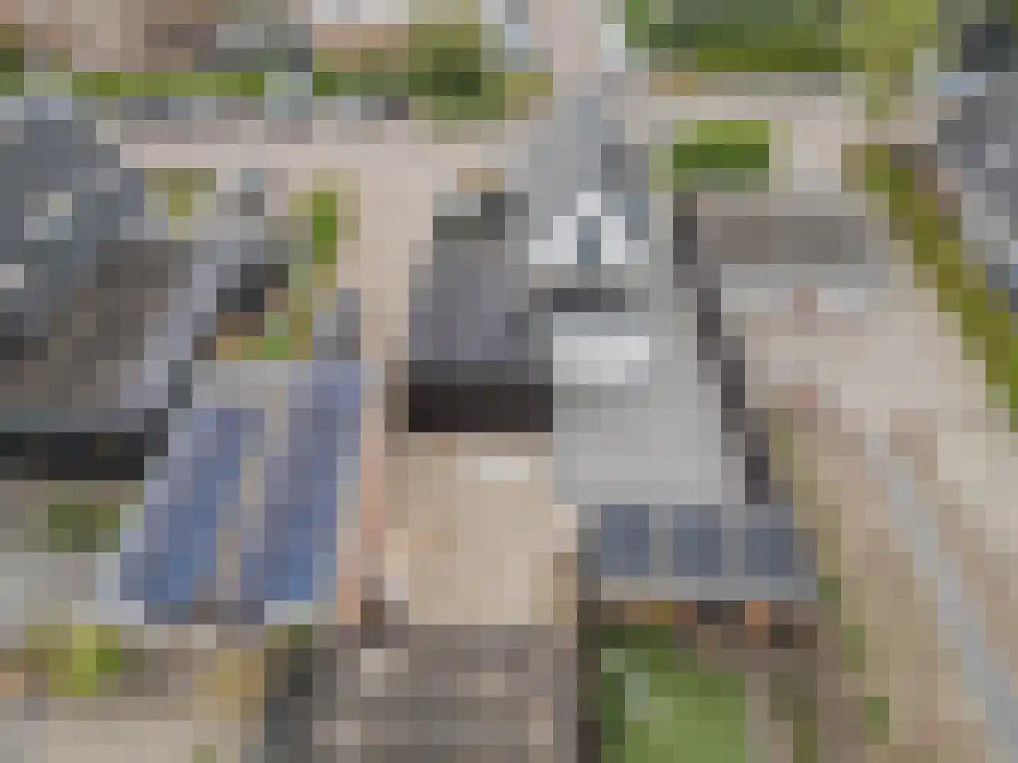 Keizersdijk 73 Raamsdonksveer thumbnail 8