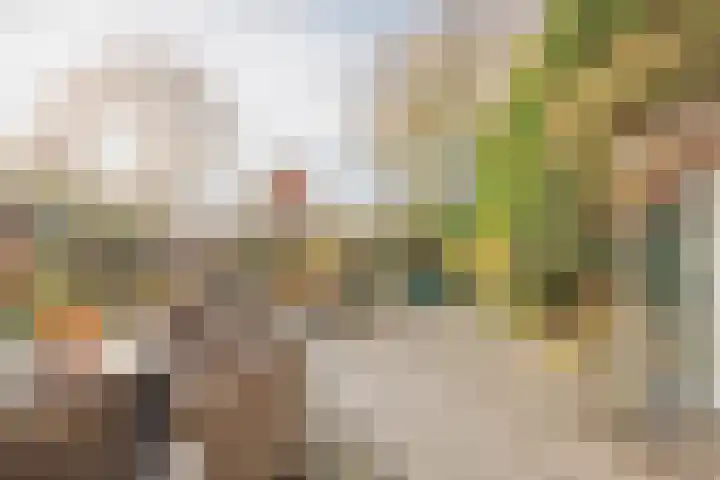 Keizersdijk 83 Raamsdonksveer thumbnail 5