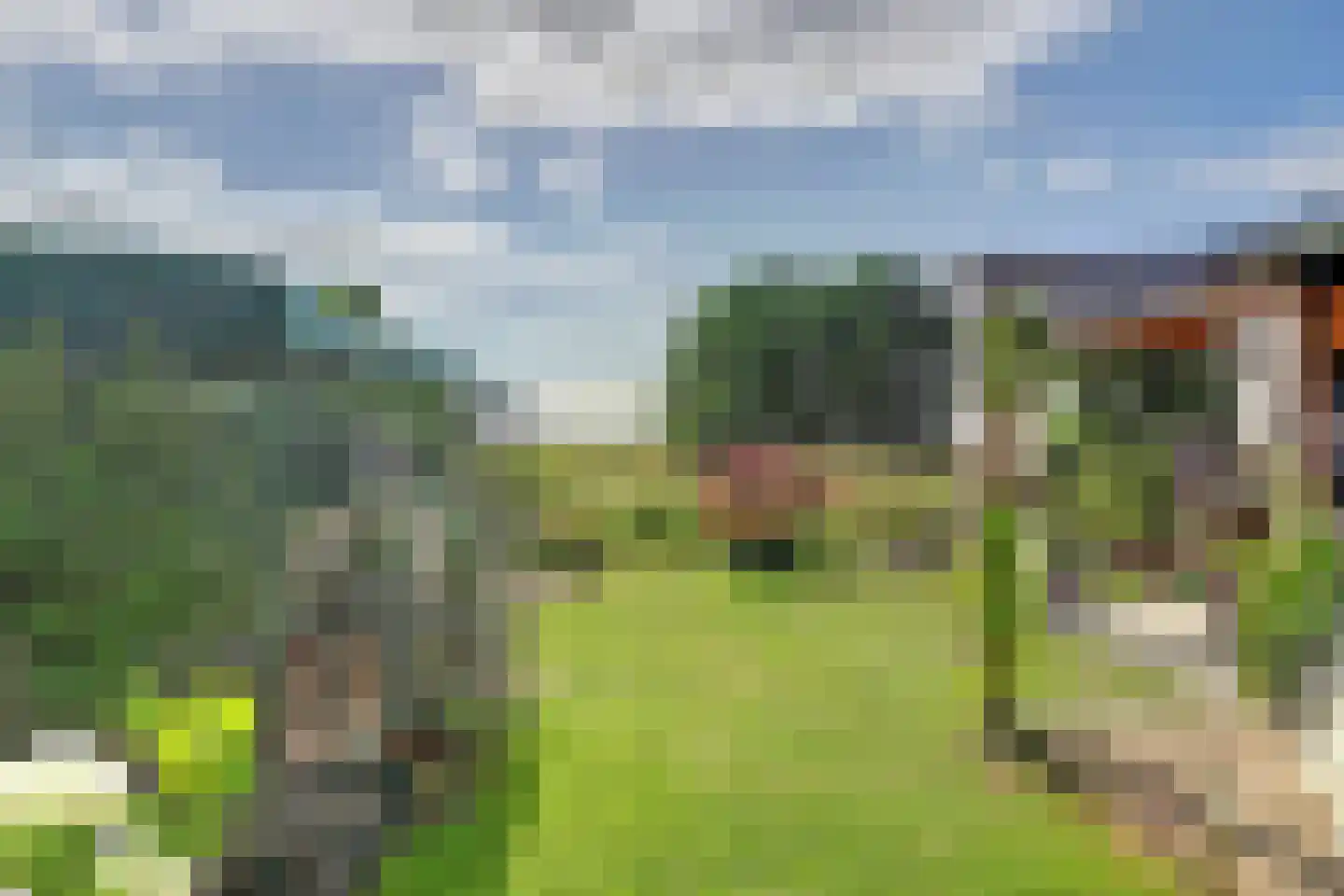 Keizersdijk 9 Strijen thumbnail 30