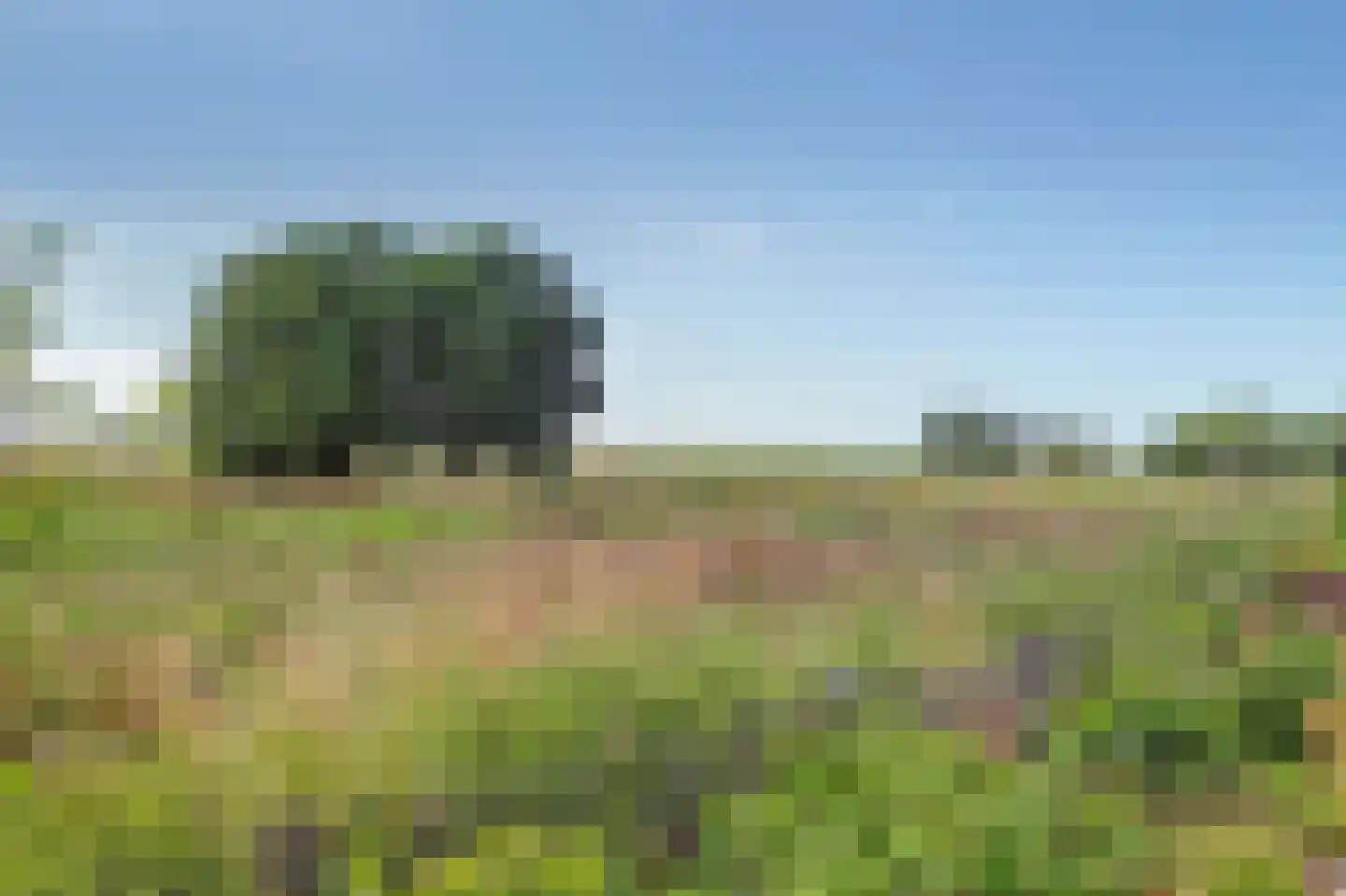 Keizersdijk 9 Strijen thumbnail 35