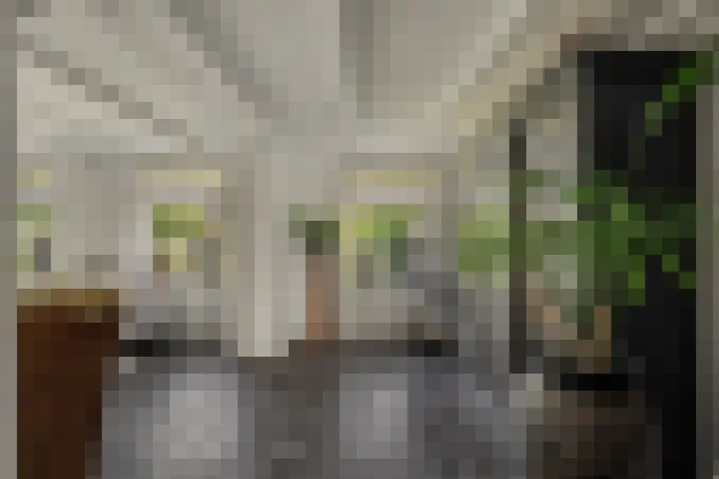 Keizersdijk 9 Strijen thumbnail 4