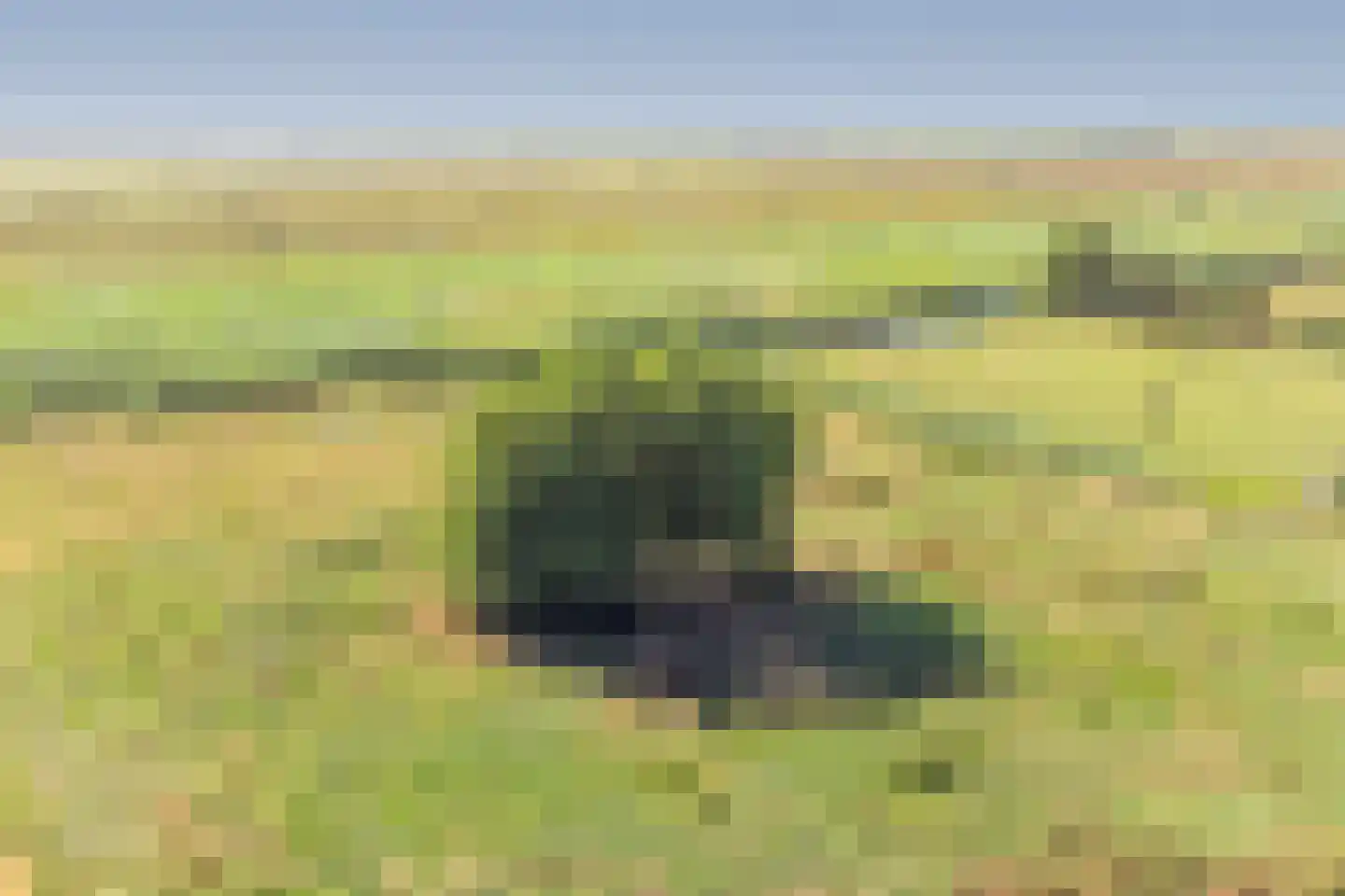 Keizersdijk 9 Strijen thumbnail 46