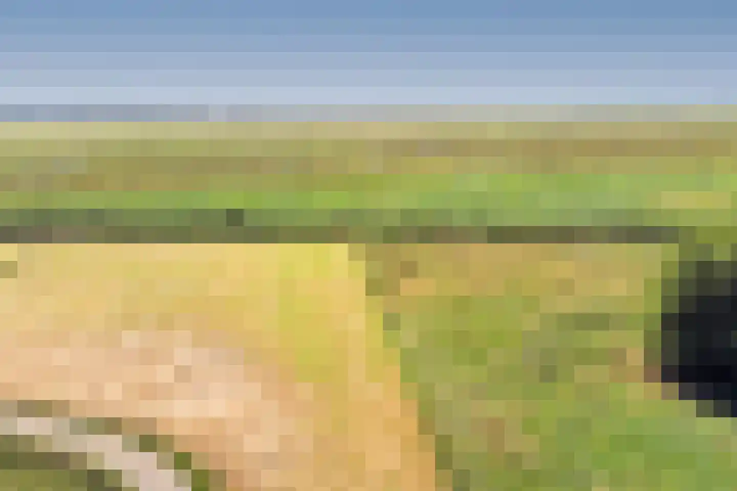 Keizersdijk 9 Strijen thumbnail 47