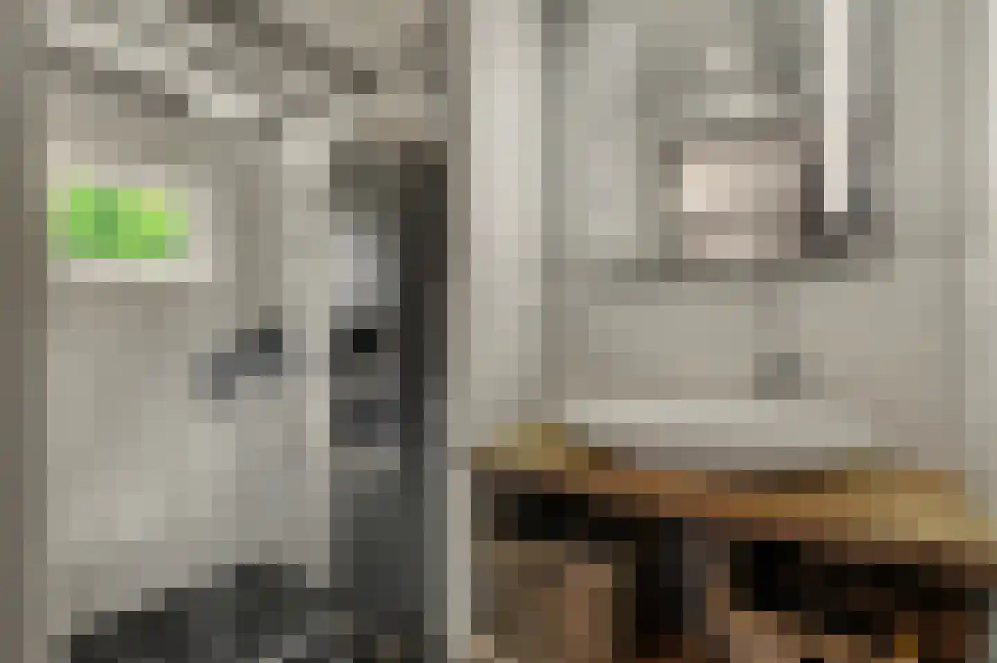 Keizersdijk 9 Strijen thumbnail 7