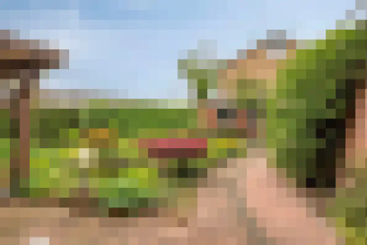 Keizersdwarsweg 48 Winterswijk thumbnail 22