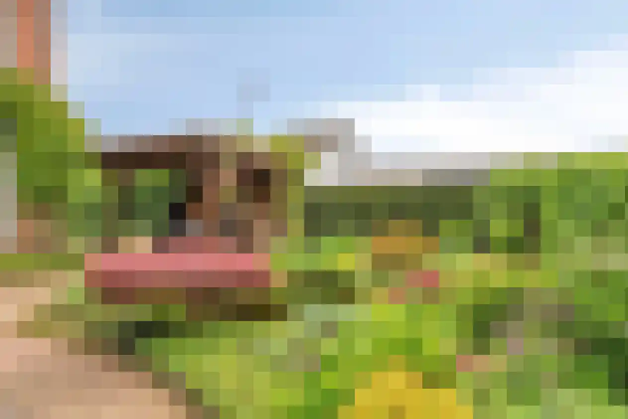 Keizersdwarsweg 48 Winterswijk thumbnail 23
